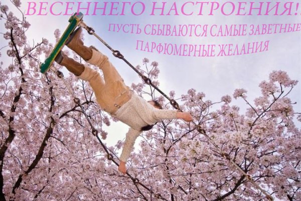 Ketly раздел: , оригинальная парфюмерия Распив Киевская область